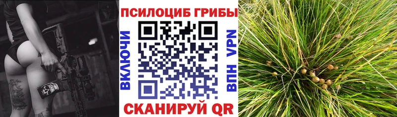 Галлюциногенные грибы GOLDEN TEACHER  Нерчинск 